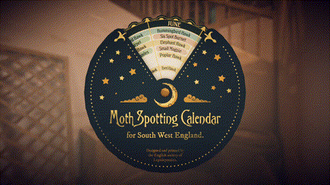 /ueditor/image/20260222/1771771354890925/f9afd667be7f857a0ad2b47e7f086752.jpg 20260209023452751.jpg